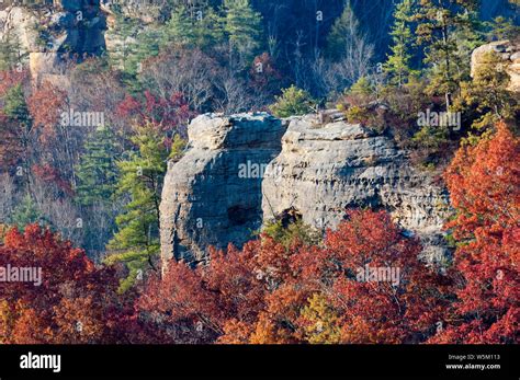 Red River Gorge Geological Area In The Daniel Boone National Forest Of Kentucky Stock Photo Alamy