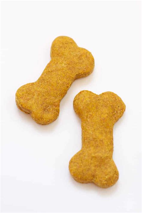 Preheat the oven to 350° degrees f. Healthy Pumpkin Dog Treats | Food with Feeling