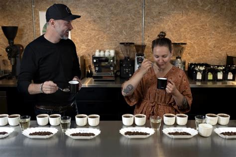 Sample Roasting: What You Should Be Looking For - Perfect Daily Grind