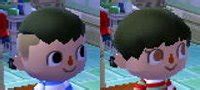 You can only get your hairstyle changed once per day. Animal Crossing New Leaf Hair Guide (English)