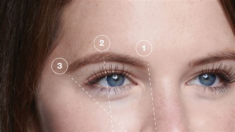 Beautiful Brows How To Find Your Perfect Eyebrow Shape