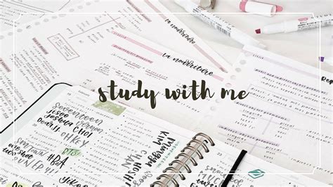 Study With Me Weekdays 4 Hours Revisign Youtube
