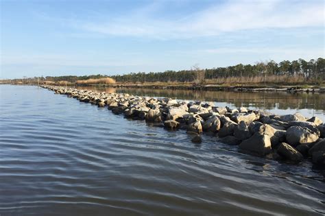 Three Living Shorelines Creating Habitat Protecting The Gulf Coast
