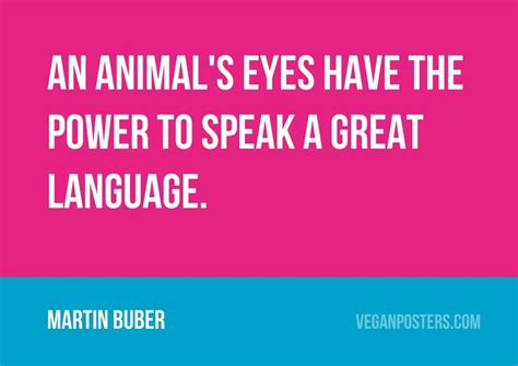 An Animals Eyes Have The Power To Vegan Posters