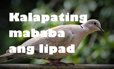 Filipino Idioms 30 Examples Of Tagalog Idiomatic Expressions Owlcation