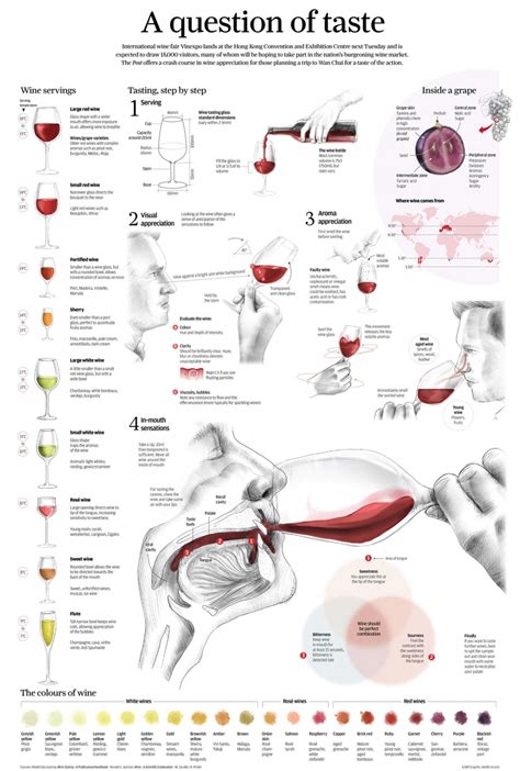 The Connoisseurs Way To Tasting Wine Infographic