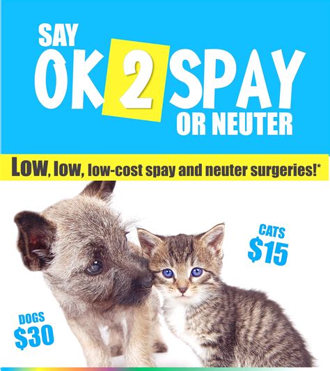 We offer feral cat services. Free Cat Spaying Near Me