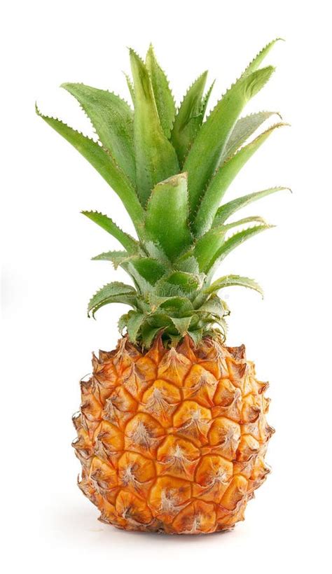 Whole Fresh Pineapple Stock Photo Image Of Food Rough 17165794