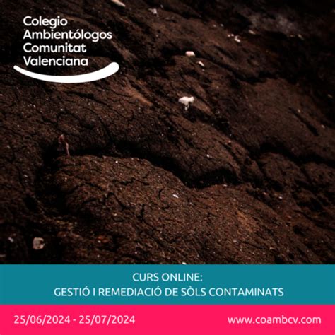 Curso Gesti N Y Remediaci N De Suelos Contaminados Ed Descuento