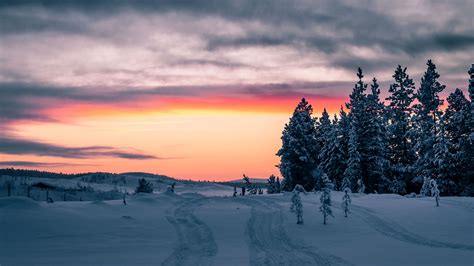 Download Wallpaper 1920x1080 Winter Snow Trees Sunset Horizon Full Hd Hdtv Fhd 1080p Hd