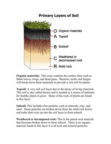 Primary Layers Of Soil Pdf