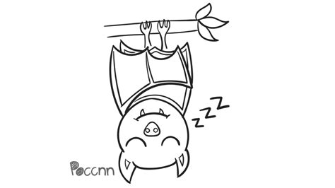 Cute Bat Sleeping To Color By Poccnnindustries On Deviantart