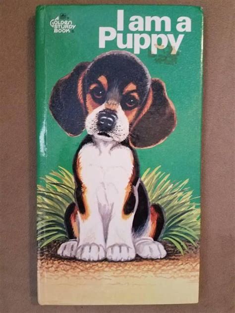 Pin On Vintage Childrens Books