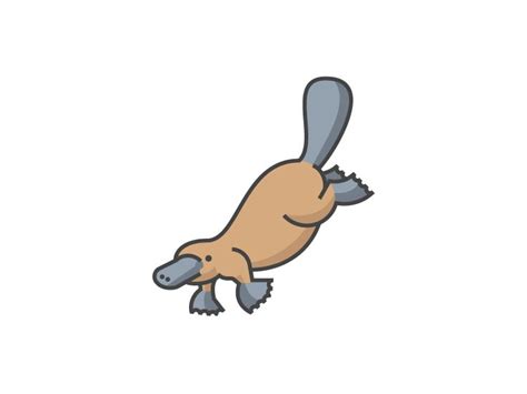 Platypus Pictures Cartoon Free Download On Clipartmag