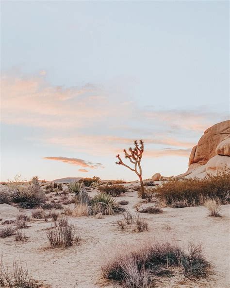 Missing These Desert Vibes⁣ ⁣ ⁣ Contemplating On Visiting Here Again
