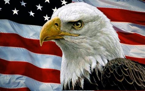 Bald Eagle Usa Flag F1 Celebration Independence Day Fireworks
