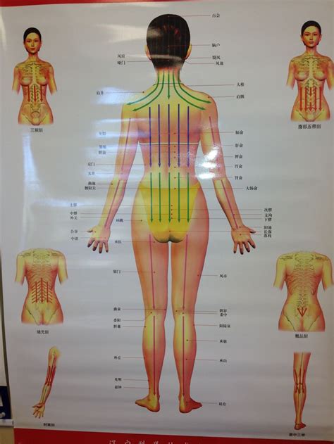 Guasha Massage Chart Posterior Female Gua Sha Massage Gua Sha Massage Therapy