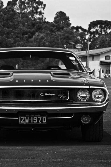 20 Hot Muscle Cars Photos You Would Defenitely Love