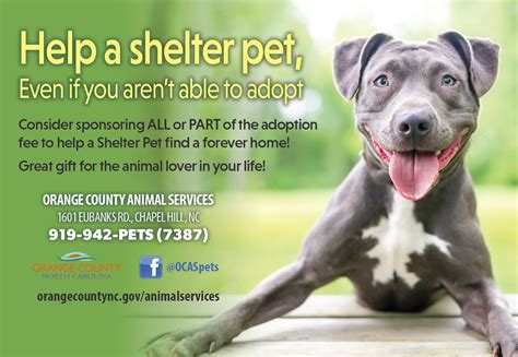 We do not offer any. Animal Services | Orange County, NC