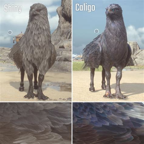 Hippogriff Shiny Caligo Comparison Rhogwartslegacygaming
