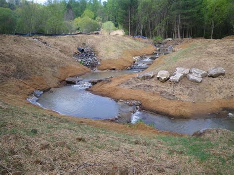 Wetland And Stream Mitigation Clearwater Environmental Consultants