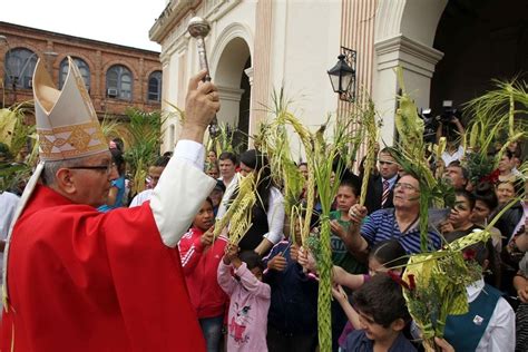 Las Palmas Que Reciben A La Semana Santa