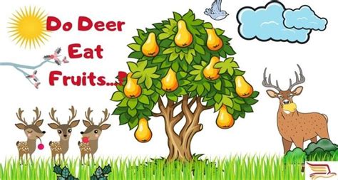 Wildlife biologists classify browse plants into three categories: Do Deer Eat Fruits (Bananas, Apple, Berries, Oranges ...