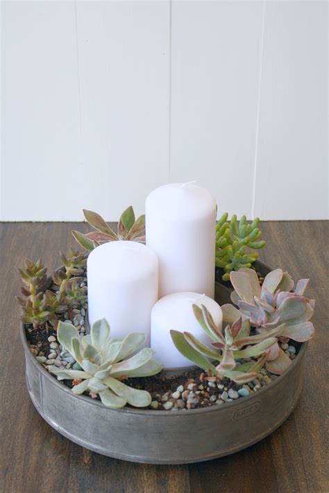 Succulents are conquering the world! Succulents & Thrifty Finds