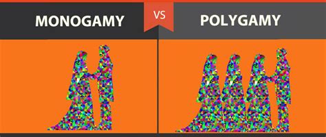 everything you need to know about monogamy vs polygamy