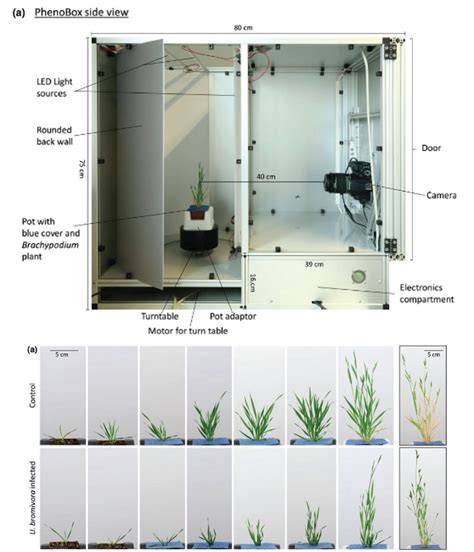 The Phenobox” A Flexible Automated Open Source Plant Phenotyping