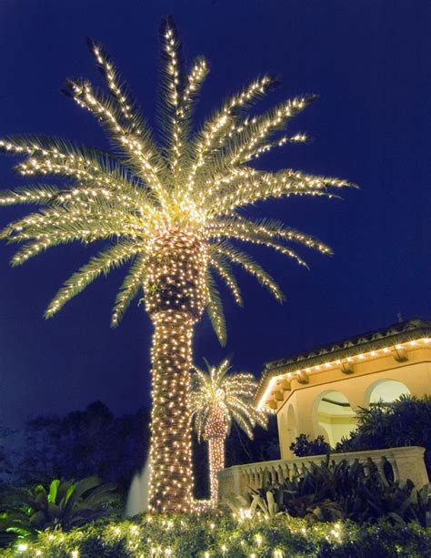 Thiết Kế Christmas Decorated Palm Tree độc đáo Cho Mùa Giáng Sinh