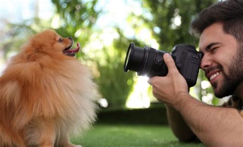 31 Dog Photography Tips Take Great Pics Of Your Pup