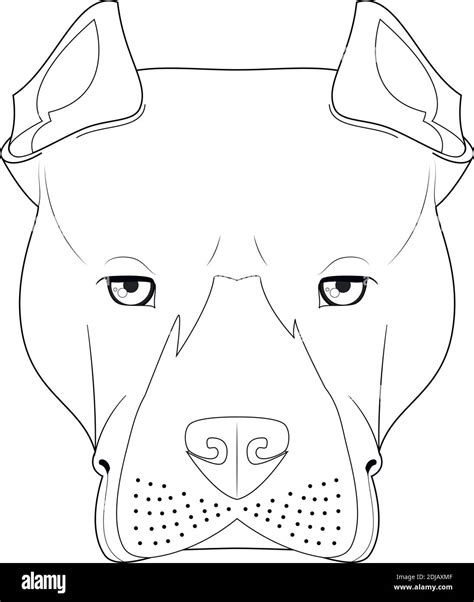 Ligature Annuel Engager dibujos de perros pitbull fils extérieur calorie