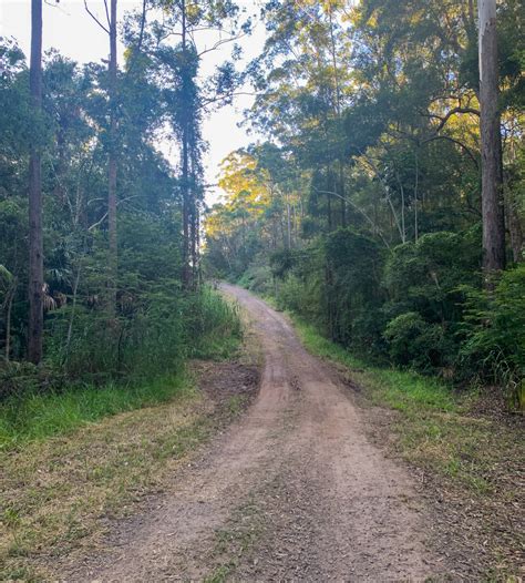 A total of 93 residents have recovered from the virus. Parklands Conservation Park - Rocky Creek Circuit - Adventure Sunshine Coast