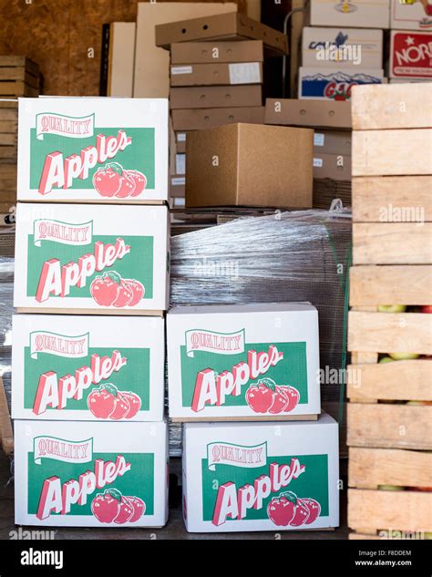 Apple Boxes Stacked In The Apple Sorting Room At The Orchard Are Filled