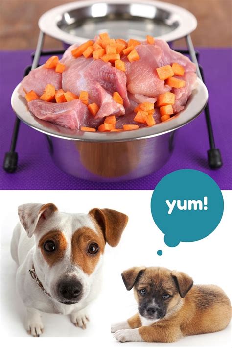As we did previously, the calculations are as follows: How Much Should A Shih Tzu Eat