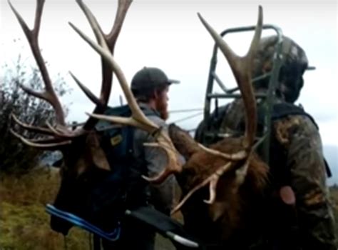 Eleven Charged In Demented Us Wildlife Poaching Ring The