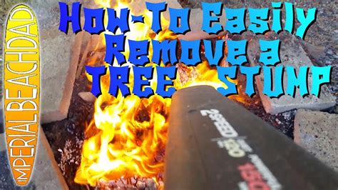 Easy Diy Tree Stump Removal A Simple How To Video