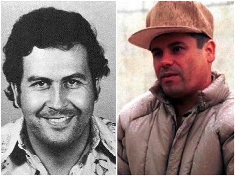 El Patrón Vs El Chapo Guzmán Conozca La Historia De Los Dos