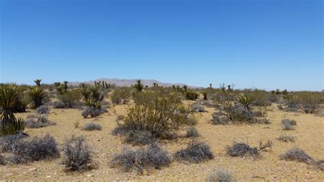 As of the 2010 census, its population was 200,186. 2.50 Acres Dolan Springs, Mohave County, AZ | TheLandSpot.com