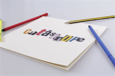 Check Out This Behance Project “catastrophe”