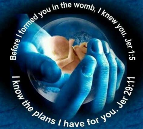 Before I Formed You In The Womb， I Knew You Scripture Quotes Bible
