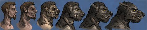 Werewolf Transformation 2 By Andy Butnariu On Deviantart