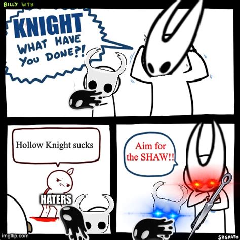Hollow Knight Thing Imgflip