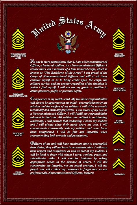 Nco Creed No One Is More Professional Than I I Am A Noncommissioned