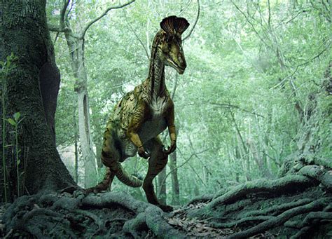 Cryolophosaurus Dinosaur Revolution Wiki Fandom Powered By Wikia