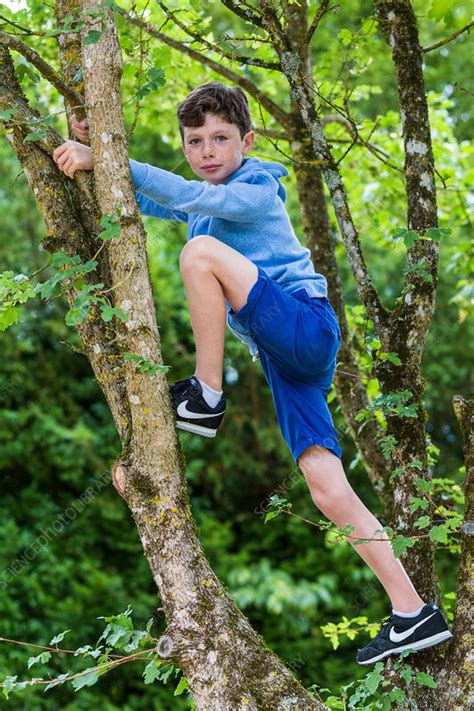 10 Year Old Boy Stock Image C0353992 Science Photo Library