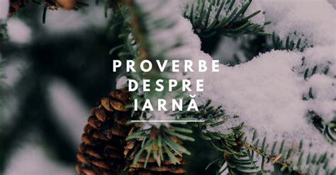 90 Proverbe și Citate Despre Iarnă Care Te Vor Inspira Booknationro