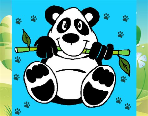 Dibujo De Oso Panda Pintado Por Tilditus En El Día 24 05 15
