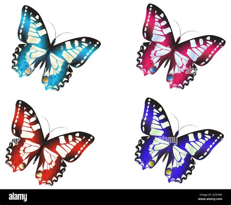 Colorful Gradient Butterfly Set Of 4 Stock Vector Image And Art Alamy